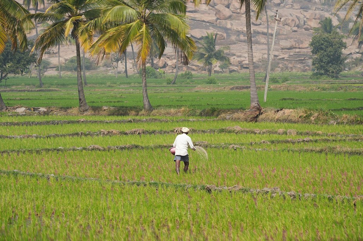 Kaikamba Farmers Producer Company Agriculture